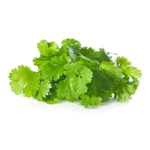 Coriander Leaves (Dhaniya Leaves) - 1 bunch