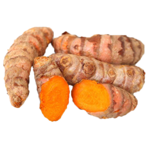 Fresh Turmeric