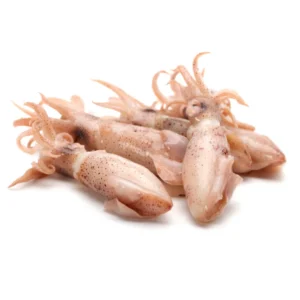Frozen baby squid