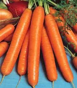 Carrots