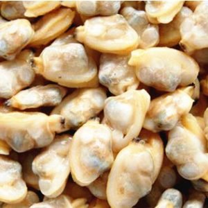 Clam meat