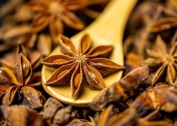 star-anise-4680709